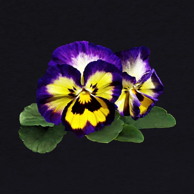 Yellow Purple and White Pansies by SusanSavad